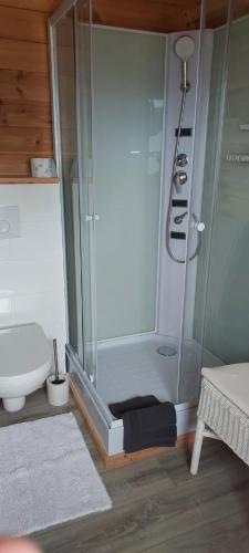 a bathroom with a shower with a toilet and a sink at Ferienwohnung Erlebnisfarm John in Sayda