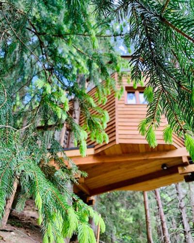 Cabane dans les Arbres de Valmo'Insolite