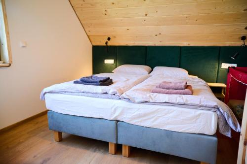 a bed with two pillows on it in a room at Przystanek Grąziowa in Grąziowa