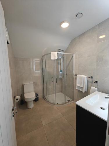 a bathroom with a shower and a toilet and a sink at Michael A's Pub in Miltown Malbay