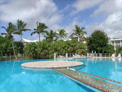 a large swimming pool with blue water and palm trees at Studio avec jardin et piscine in Saint-François