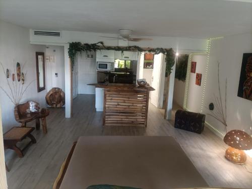 Kuchyň nebo kuchyňský kout v ubytování Studio avec jardin et piscine