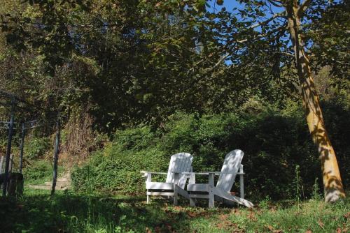two white chairs sitting in the grass under a tree at Casavabene in Murazzano