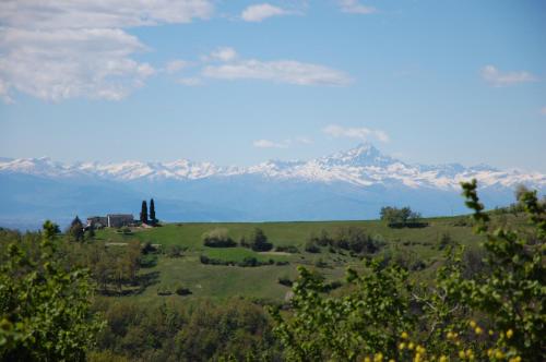 a green field with snow capped mountains in the background at Casavabene in Murazzano