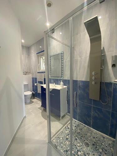 une salle de bain avec une douche avec un lavabo et des toilettes dans l'établissement Villa de Pullis, à Poulx