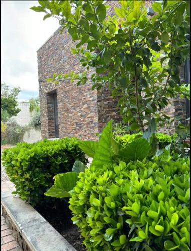 a bunch of green bushes in front of a building at Villa Galiana By Florentia Homes in Toledo