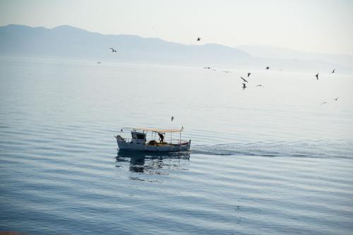 a boat in the water with birds flying around it at Villa Thea Antonis in Gaios