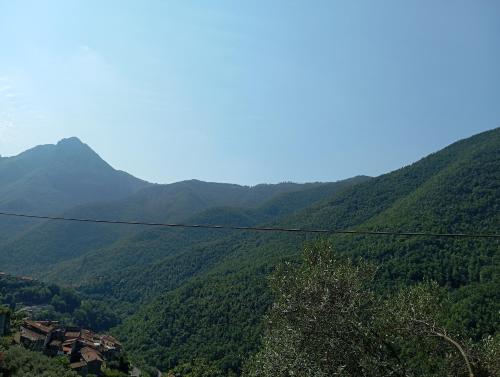 a view of a green valley with mountains at Agriturismo U' Spigu Nonna Annetta in Nasino