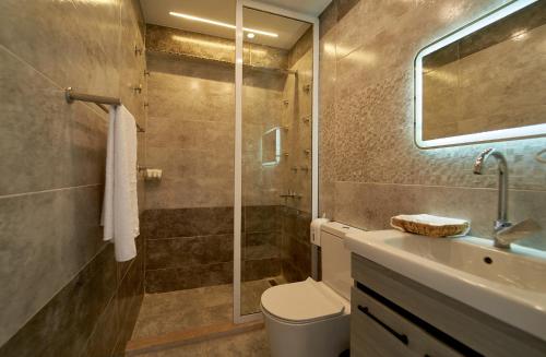 a bathroom with a shower and a toilet and a sink at prestige pyramids INN in Cairo