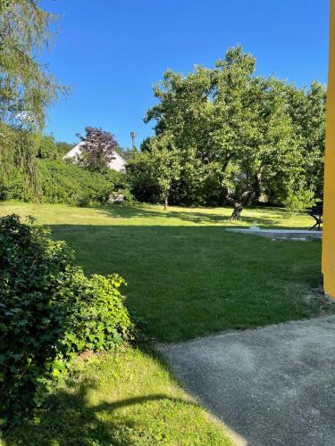 a large field of grass with trees in the background at Hollabrunn-Rest-Relaxation-Garden contactless check-in in Hollabrunn