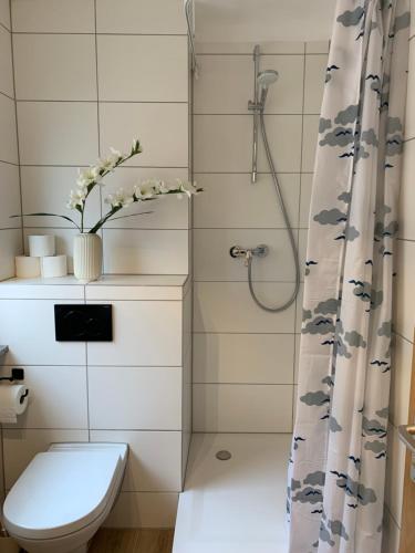 a bathroom with a toilet and a shower at HMS16 I 1-Zimmer Apartment mit Balkon I Daimler Nähe I S-Bahn & City - Sindelfingen in Sindelfingen