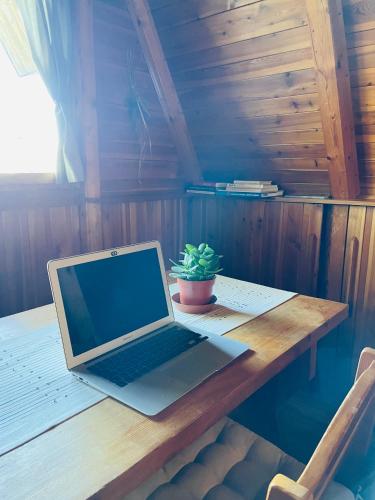 a laptop computer sitting on a wooden table with a plant at Hrách a lusk in Pňovany