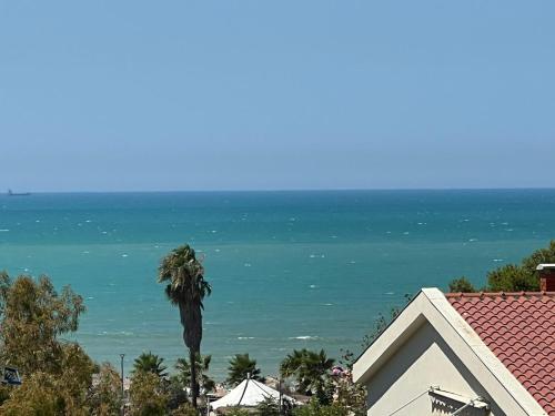a palm tree in front of a house and the ocean at Lumiver Apartment in Golem