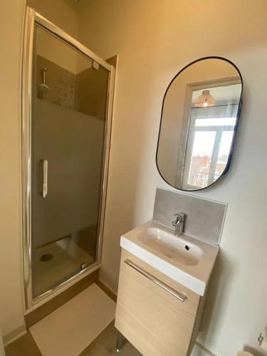 une salle de bain avec un lavabo et un miroir dans l'établissement Appartement charmant à Vichy, cosy, 23 m², près des thermes, à Vichy