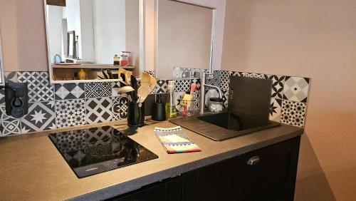 une cuisine avec un évier et un plan de travail dans l'établissement Au calme en vieille ville - Proche lac - Ambiance esprit brocante, à Annecy