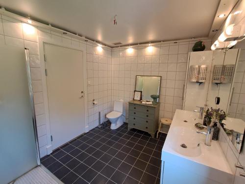 a bathroom with a sink and a toilet at Ankis Bed and Brekfast, Vimmerby in Vimmerby