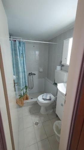 ein Badezimmer mit Toilette und Duschvorhang in der Unterkunft NIKOS SEA VIEW ROOM in Kallithea (Chalkidiki)