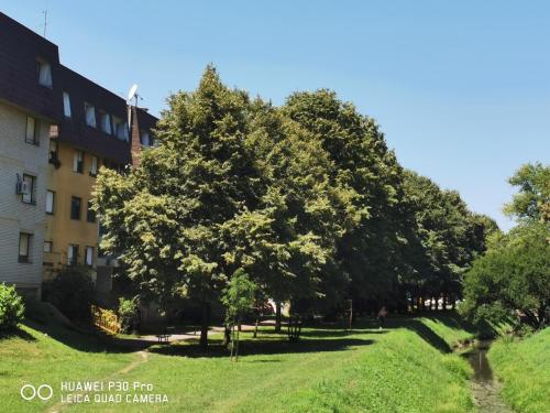 Zahrada ubytování City Lake Pearl #lake Jarun#green area#free parking#cafes, tram to city, markets#balcony&sunny&easy self check in 24-7