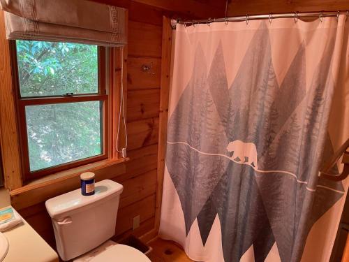 un bagno con un water e una tenda da doccia di Two Bears Cabin a Blue Ridge