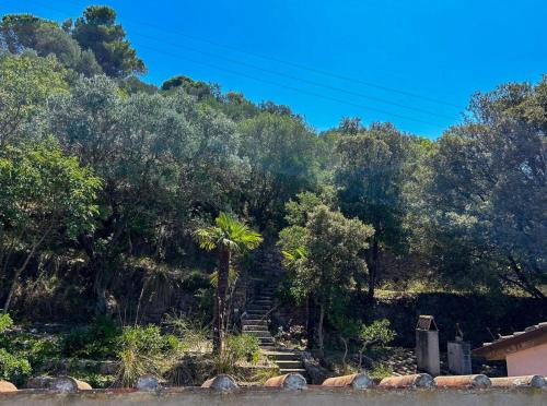 a stairway leading up a hill with a palm tree at Villa Velta Sea Sunset in Porto Santo Stefano