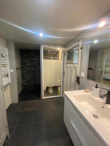 une salle de bain avec un lavabo et un miroir dans l'établissement 2 pièces de plain-pied avec parking et jardin au calme, à Antony