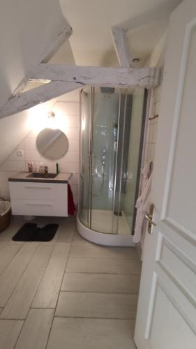 une salle de bain avec une douche, un lavabo et un miroir dans l'établissement Logis de Vaux - Maison de campagne familiale spacieuse, à Madré