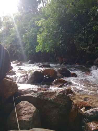 a stream of water with rocks and trees at Chalé Fava Ipiranga Rodeio in Rodeio
