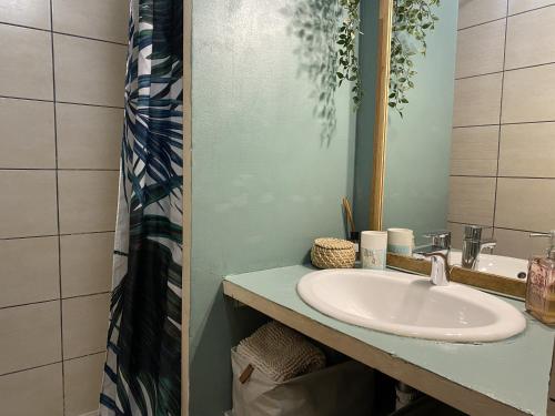 une salle de bain avec un lavabo et un miroir dans l'établissement Le Creuset Lyonnais, BNBConciergerie, à Lyon