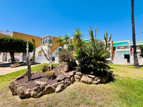 Serenity Oasis Apartment photo 8