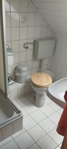a bathroom with a toilet and a sink and a tub at Pension Romann und Bauernferienhof in Annaburg