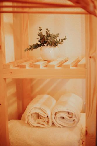 a shelf with towels and a vase with a plant at Casa do Bó Nel in Valpaços