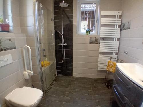 a bathroom with a shower and a toilet and a sink at Meublé tout confort à la campagne in Uhrwiller