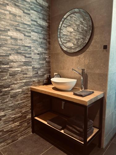 a bathroom with a sink and a mirror at Boerderijkamers Sniedershof in Deurningen