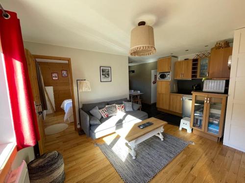 F3 de standing dans chalet en pied de pistes