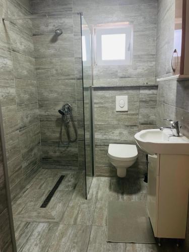 a bathroom with a shower and a toilet and a sink at Cazare Balo in Zărneşti