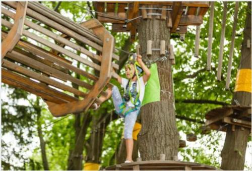 a girl is climbing up a tree on a zip line at Studio 1 - Appart'hôtel avec terrasse, CLIM, WIFI - TU ELLETA in Tulette