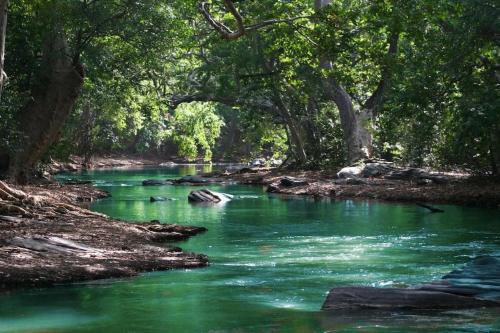 a river with green water and trees and rocks at Studio 1 - Appart'hôtel avec terrasse, CLIM, WIFI - TU ELLETA in Tulette