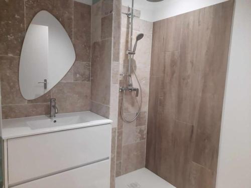a bathroom with a shower with a sink and a mirror at Studio 1 - Appart'hôtel avec terrasse, CLIM, WIFI - TU ELLETA in Tulette