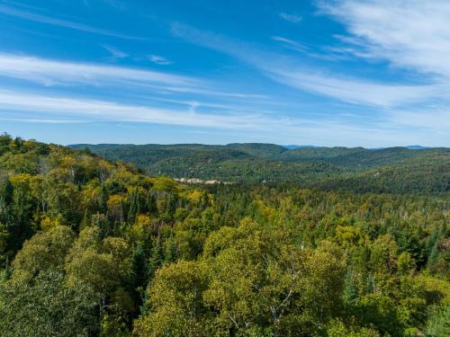 an aerial view of a forest in the fall at La Romane Unique Chalet Billard, Spa & Pool in Val-David