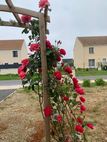 a bunch of red roses growing on a wooden fence at Belle chambre d'hôtes cosy proche Disneyland in Boissy-le-Châtel