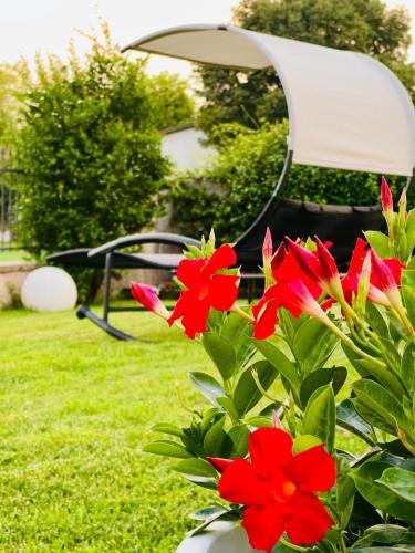 a bush with red flowers next to a chair at B&B Rifugio Degli Artisti - Themed Rooms in Monzambano