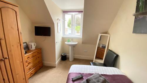 a bedroom with a bed and a sink and a mirror at Tusker Lodge in Torquay