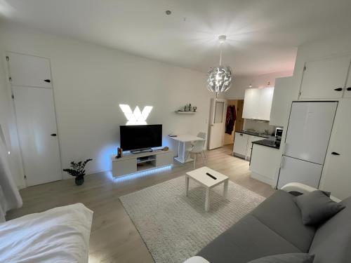 a living room with a couch and a tv and a kitchen at Smart 32m2 studio in a central location - Kallio in Helsinki