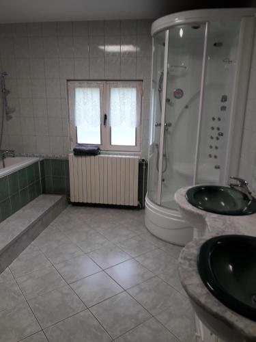 une salle de bain avec une douche, des toilettes et un lavabo dans l'établissement appartement 7 personnes, à Plombières-les-Bains