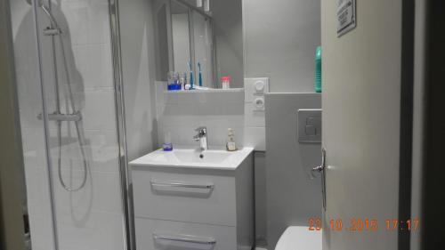 un bagno bianco con lavandino e doccia di Appartement Clémenceau a Saint Malo