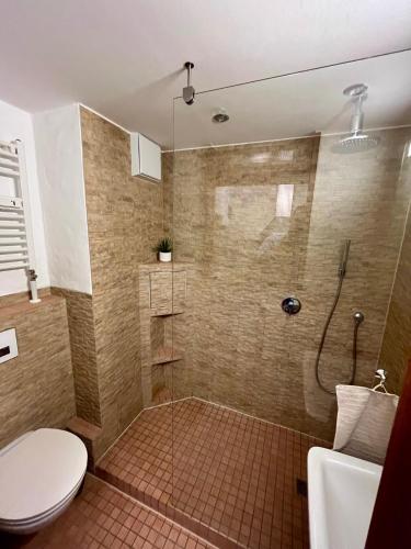 a bathroom with a shower and a toilet at stylish suite OldTown free parking Air Condition in Heidelberg