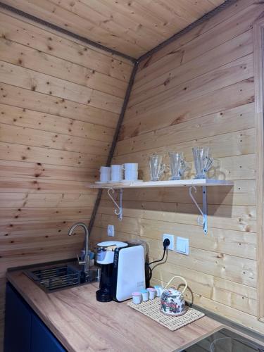 a kitchen with a stove in a wooden room at Cottage Keba-nikortsminda კოტეჯი ქება-ნიკორწმინდა in Ambrolauri