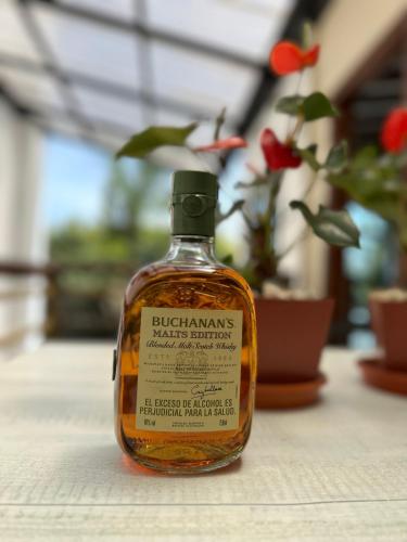 a bottle of whiskey sitting on a table with a plant at Hotel Campo Real in Rionegro