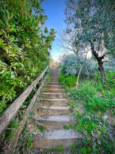 a set of stone stairs in a field with trees at Le Mandrie Di San Paolo in Assisi