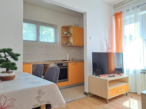 Apartment Perla